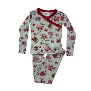 HANNA ANDERSSON Cute Owl Flower Long John Pajama Set Size 5 110 Kids Green Red